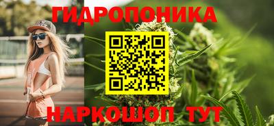 шишки Тула