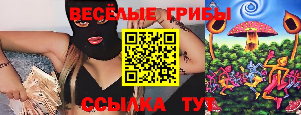 дарнет шоп  Псилоцибиновые грибы Psilocybine cubensis  Вход с VPN  Архангельск 
